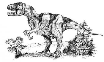 T REX Plansa De Colorat SfatulMamicilor Ro