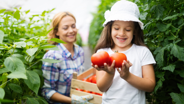 Cum poti cultiva legume bio si ce beneficii aduc acestea copilului tau