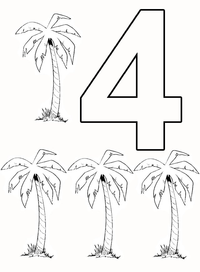 4 palmieri