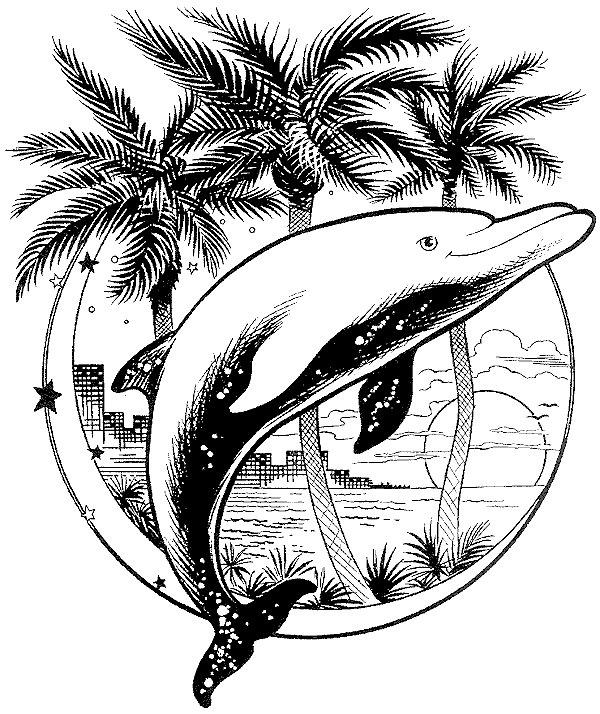 Un delfin la tropice